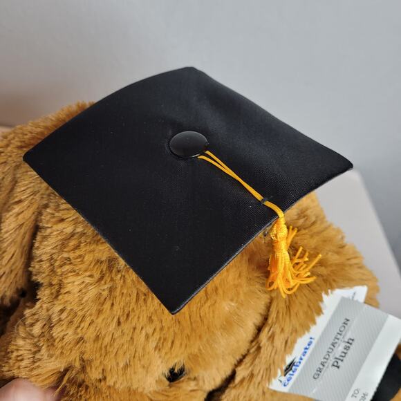 Way to Celebrate 2023 Graduation Top Dog Plush Brown Stuffed Animal 12" Inches - Picture 4 of 10